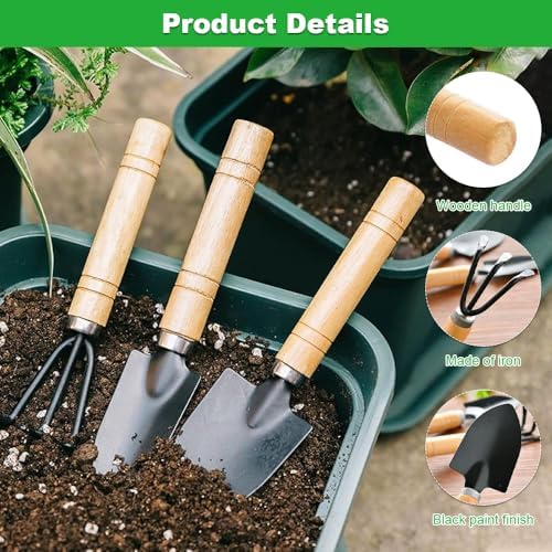 Garden Tool Set, 9 Pcs Succulent Plant Tools Mini Garden Tools Gardening Tools for Transplanting Small Gardening Kit for Plant Care - Image 4