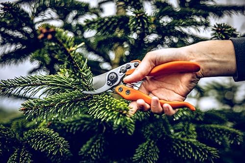 Loewe 11104 Electric Garden Tool - Image 6