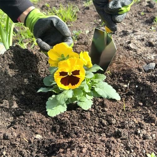 BIKAIN - Gardening Tools - Folding Stool + Bag + Tools - Gardening Kit - Storage Bag with Zipper - Includes 5 Tools with Wooden Handle - Image 7