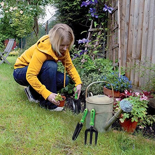 Draper Carbon Steel Hand Tools Set of 3 | Garden Fork, Trowel and Transplant Trowel | 83972 - Image 3