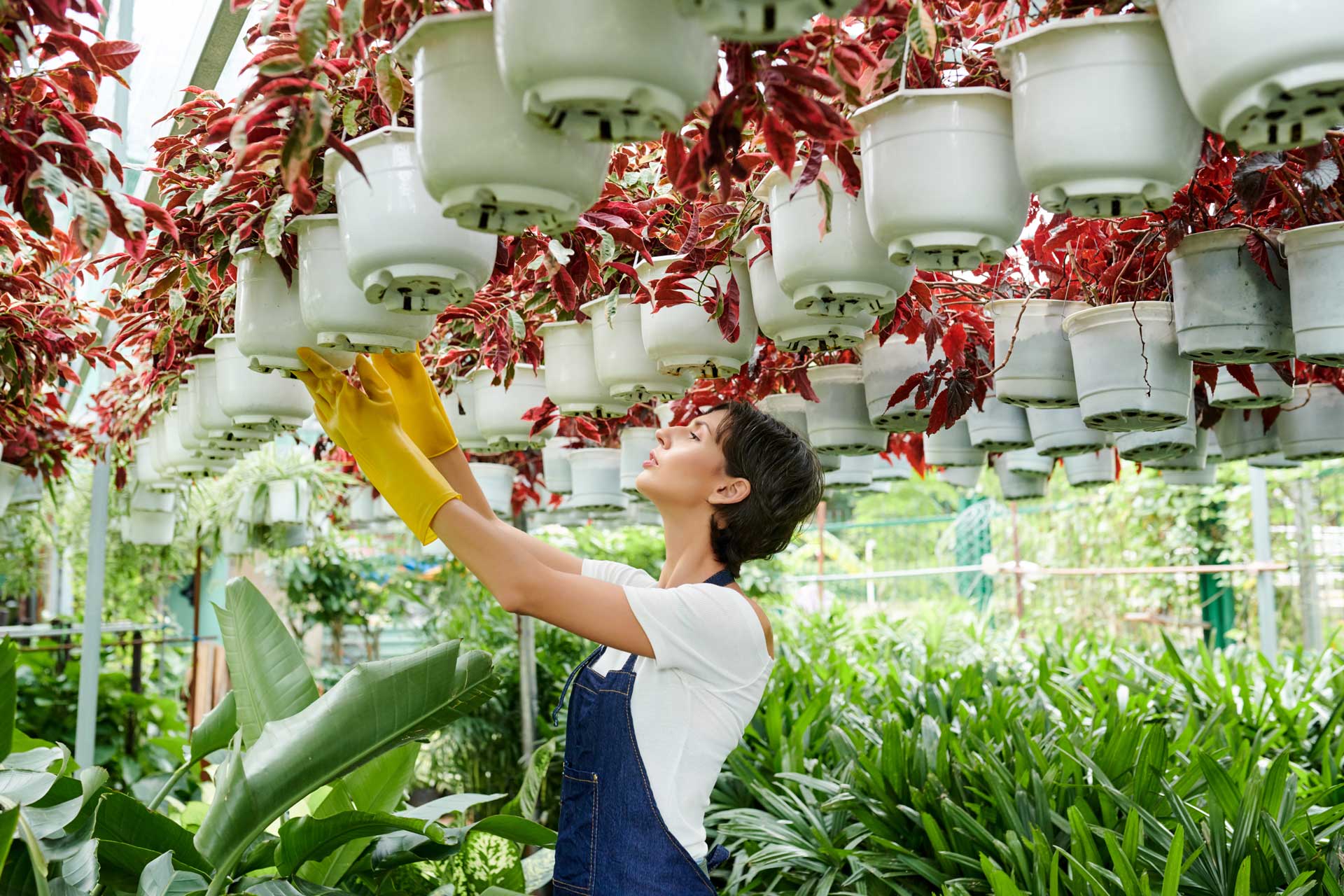 greenhouse-worker-checking-plants-e1653277210722.jpg