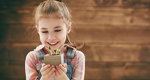 Feel Green Ecocube Chili Habanero, Fiery Hot, Sustainable Gift Idea (100% Eco Friendly), Grow Your Own / Plant Set, Plants in 3" Wooden Cube, Made and Made - Image 11