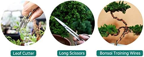 Voilamart 11 Pieces Bonsai Tool Set Carbon Steel Gardening Tool Set with 4 Bonsai Scissors Cutting Scissors, 3 Pliers, 1 Broom, 5 Aluminum Wires in Nylon Bag - Image 3