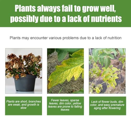 Liquid Green Grass Spray, Grass Green Spray Paint | 120ml Grass Repair Paint Spray - Grass Dye Patch Patch Solution Colorant - Image 9