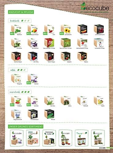 Feel Green Ecocube Chili Habanero, Fiery Hot, Sustainable Gift Idea (100% Eco Friendly), Grow Your Own / Plant Set, Plants in 3" Wooden Cube, Made and Made - Image 16