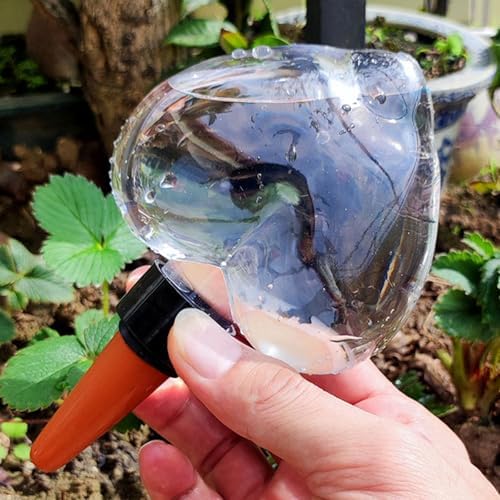 Herramienta De Riego Autoirrigación Los Dispositivos Sin Esfuerzo para La Jardinería Principiante Y Entusiasta para Ahorrar Y Energía Plantas Aire Libre - Image 10