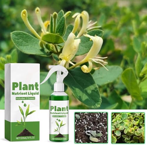 Liquid Green Grass Spray, Grass Green Spray Paint | 120ml Grass Repair Paint Spray - Grass Dye Patch Patch Solution Colorant - Image 3