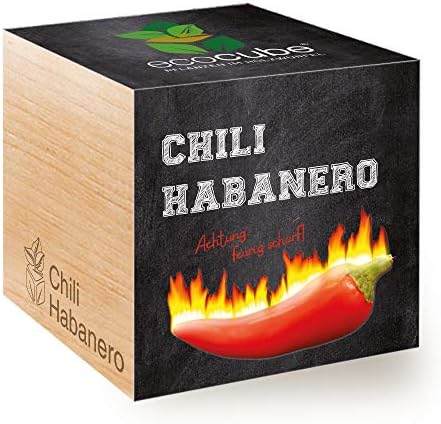 Feel Green Ecocube Chili Habanero, Fiery Hot, Sustainable Gift Idea (100% Eco Friendly), Grow Your Own / Plant Set, Plants in 3" Wooden Cube, Made and Made - Image 2