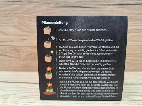 Feel Green Ecocube Chili Habanero, Fiery Hot, Sustainable Gift Idea (100% Eco Friendly), Grow Your Own / Plant Set, Plants in 3" Wooden Cube, Made and Made - Image 4