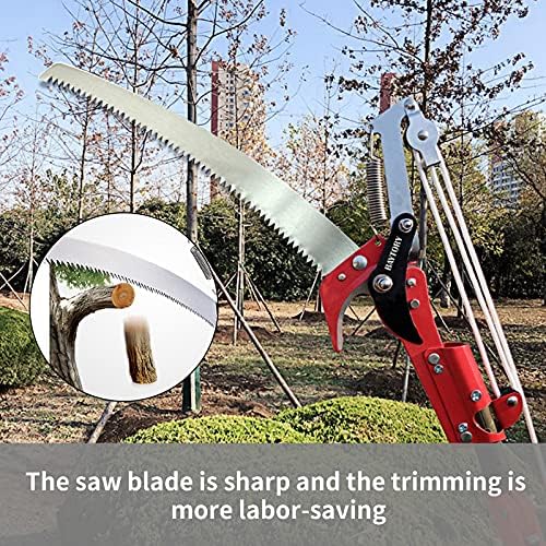 BAYTORY Extendable Saw Head for Pruning Trees Without Pole, High Altitude Branches, Pruning Shears, Fruit Picker for Plants and Branches, Garden Trimming Tool - Image 8